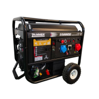 Бензиновый генератор Zammer S15000CX3 для газового котла фото