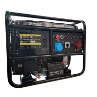 Бензиновый генератор Zammer S13000CX3 для газового котла фото