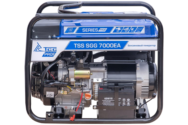 Бензиновый генератор ТСС SGG 7000E3A 030021
 фото